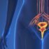 Isometrics: Get Stronger Without Moving a Muscle